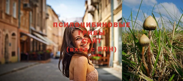 ГАЛЛЮЦИНОГЕННЫЕ ГРИБЫ Баксан