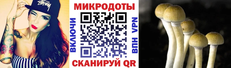 Галлюциногенные грибы Magic Shrooms  купить   Краснознаменск 