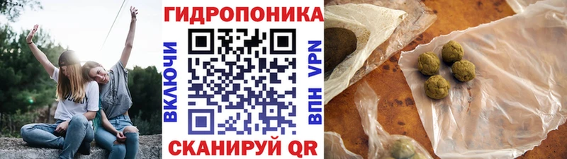 наркота  Краснознаменск  Каннабис SATIVA & INDICA 